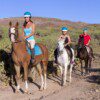 HORSE RIDING - Image 3