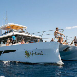CATAMARAN TRIP AFK