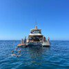 CATAMARAN TRIP AFC - Image 2