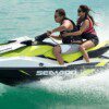 Dolphin Search Premium – 4 Hour - Image 7