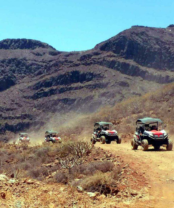 BUGGY 1H40 MIXED ROAD
