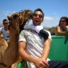 CAMEL FROM PUERTO RICO 1H - Image 2