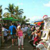 Friday Mogan Market Tour – Dolphins - Image 3