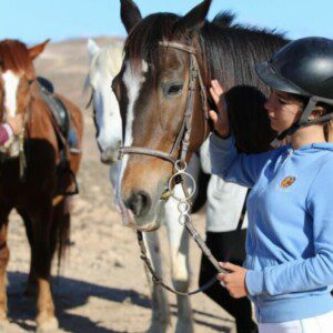 HORSE RIDING