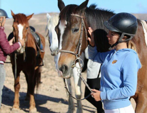 HORSE RIDING