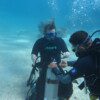 SCUBA DIVER DIVING COURSE - Image 3