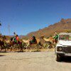 JEEP SAFARI - Image 3