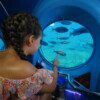 Submarine Adventure - Image 4