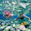 SNORKELING - Image 3