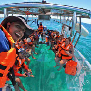 GLASS BOTTOM BOAT DOLPHIN TRIP & MOGAN MARKET EXPERIENCE