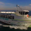 GLASS BOTTOM BOAT - Image 2