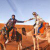 CAMEL FROM MELONERAS 1H - Image 2
