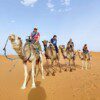CAMEL FROM MELONERAS 1H - Image 3