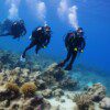 SCUBA DIVER DIVING COURSE - Image 4