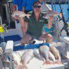 FISHING TRIP D - Image 3
