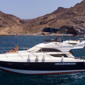 DOLPHIN YACHT TRIP