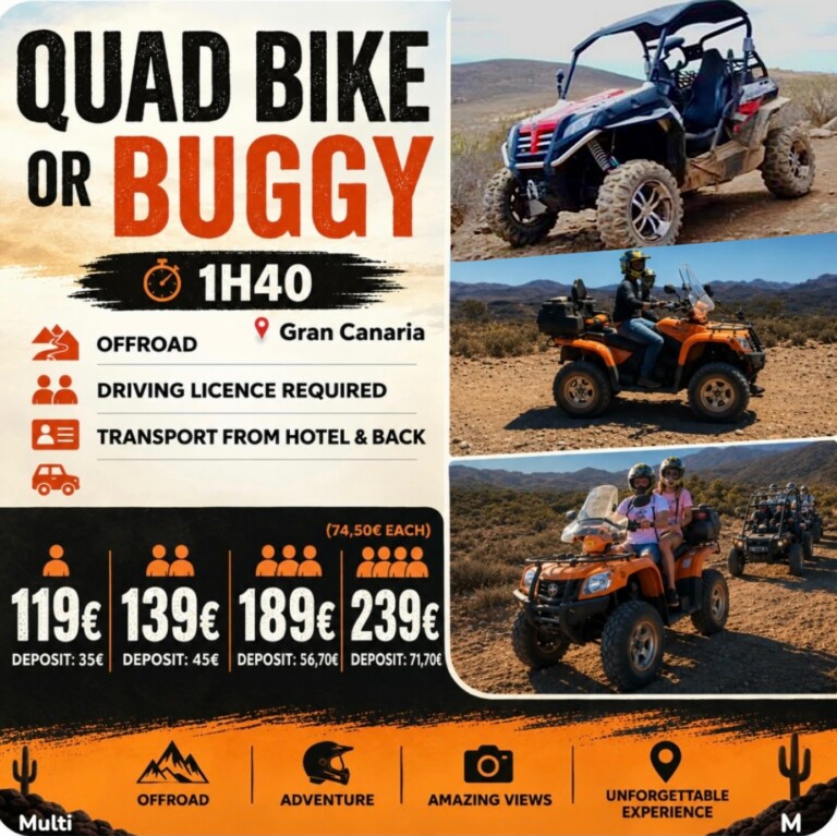 Quad Bike or Buggy 1H40