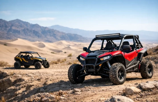 Buggy Tours: How to Choose the Right Ride